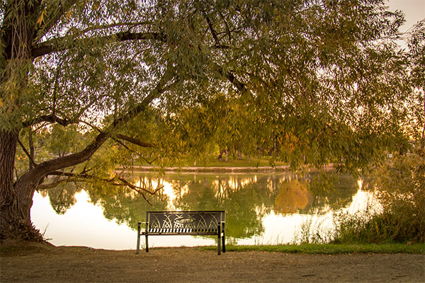 Laser Cut Metal Benches For Parks